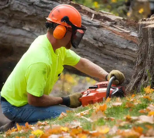 tree services McAdenville